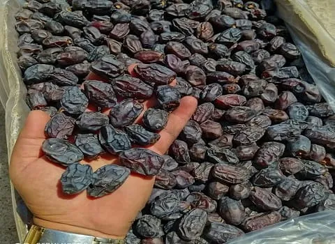 معرفی خرما خنیزی دانه + بهترین قیمت خرید