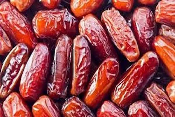 خرید بهترین انواع خرما کبکاب با قیمت ارزان